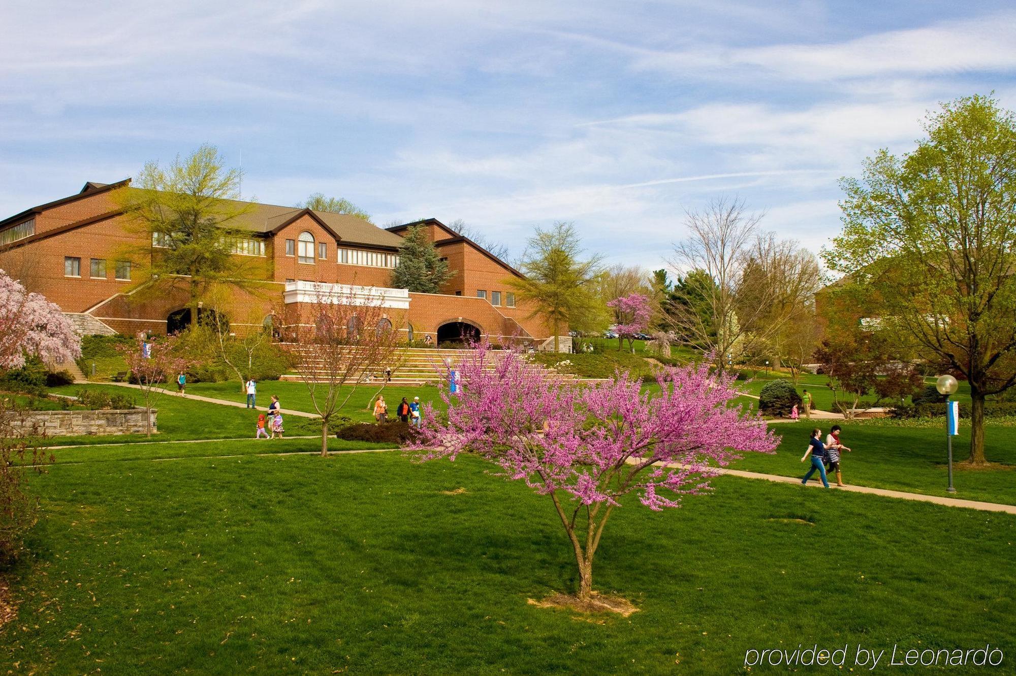 Fairfield Inn And Suites By Marriott Harrisonburg Amenities photo